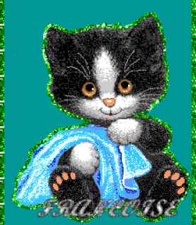 petit chat